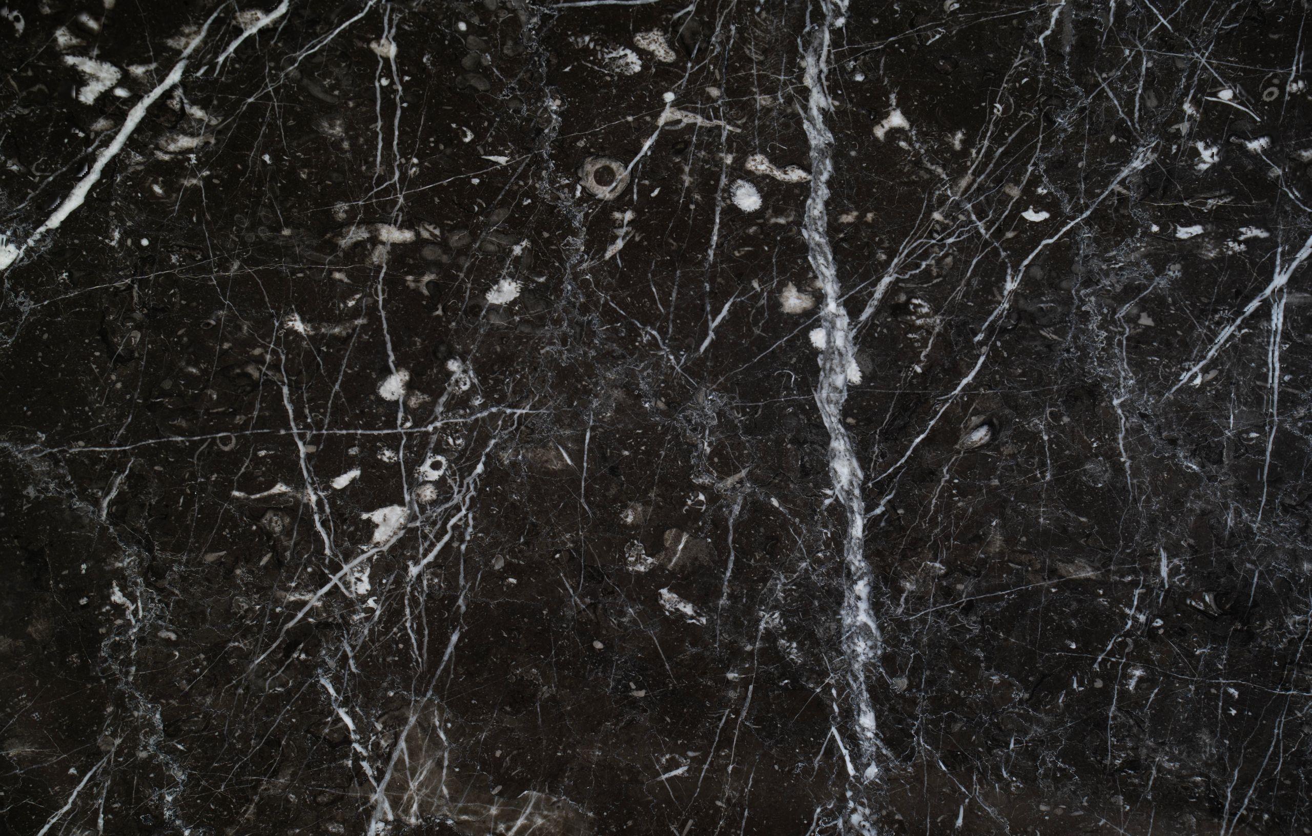 Pietro Grey Marble