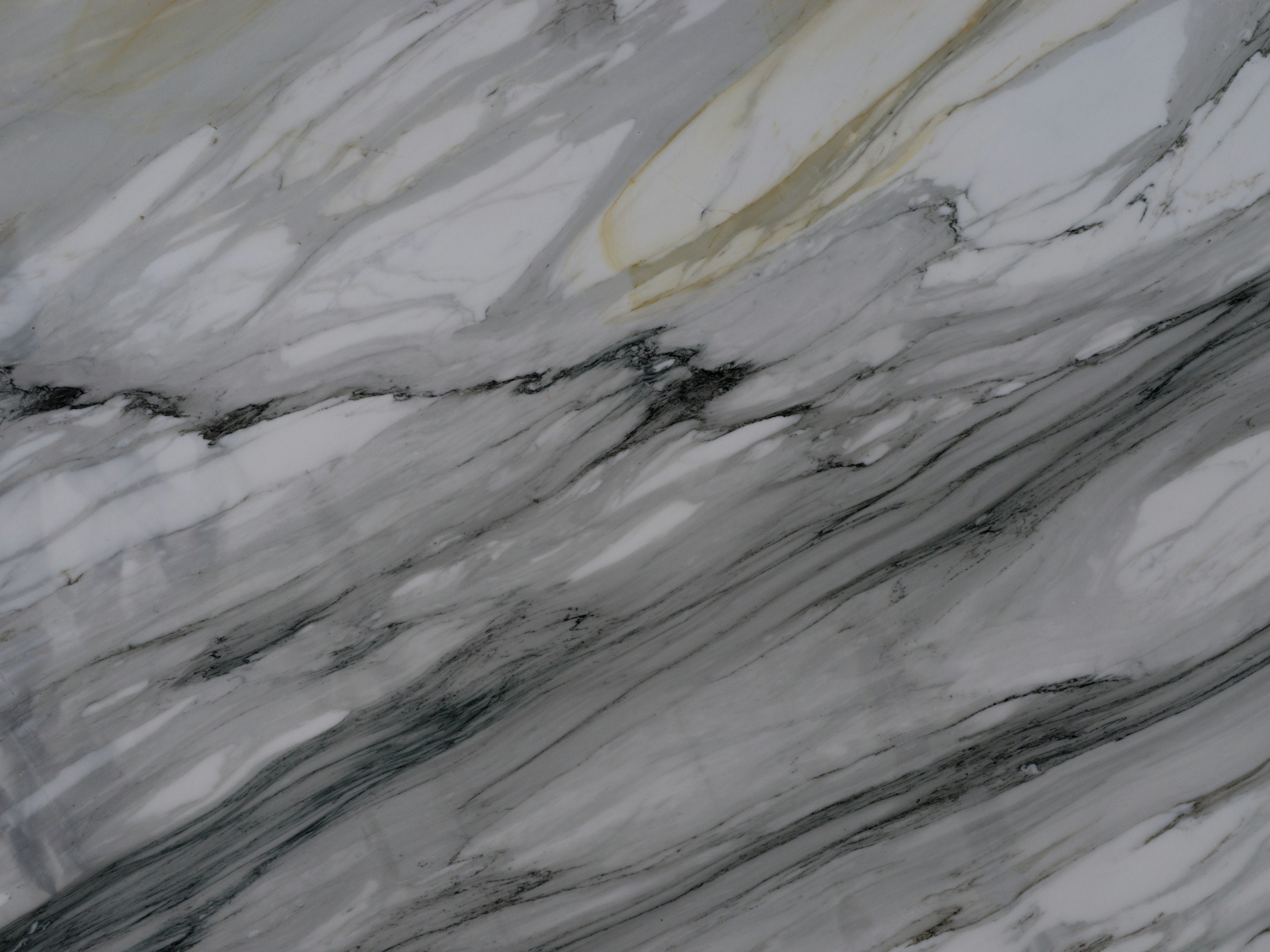 Panda White Marble